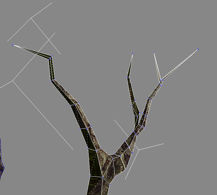 1703143942446492.jpg 019.jpg