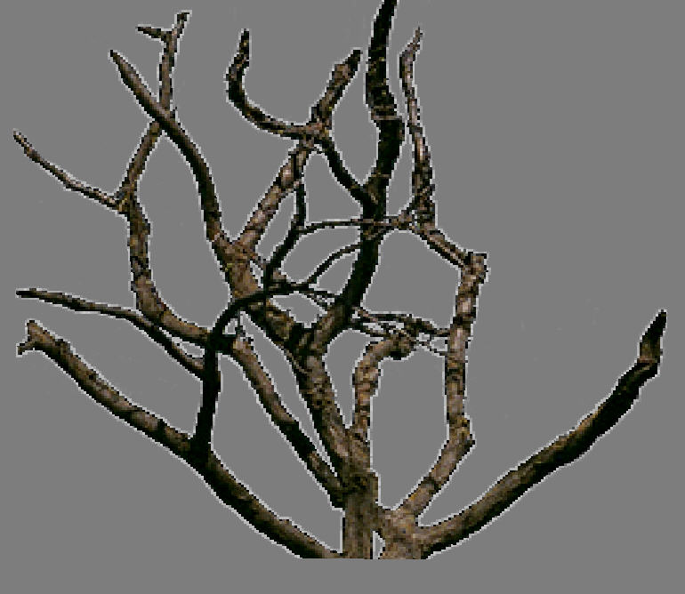 1703147386863337.jpg 014.jpg