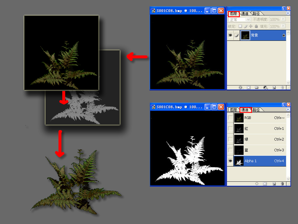 1703147394160544.jpg 015.jpg