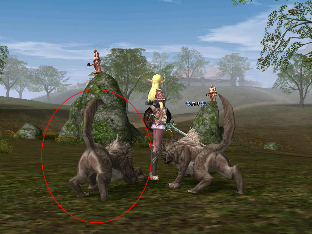 1703151434929458.jpg 003.jpg